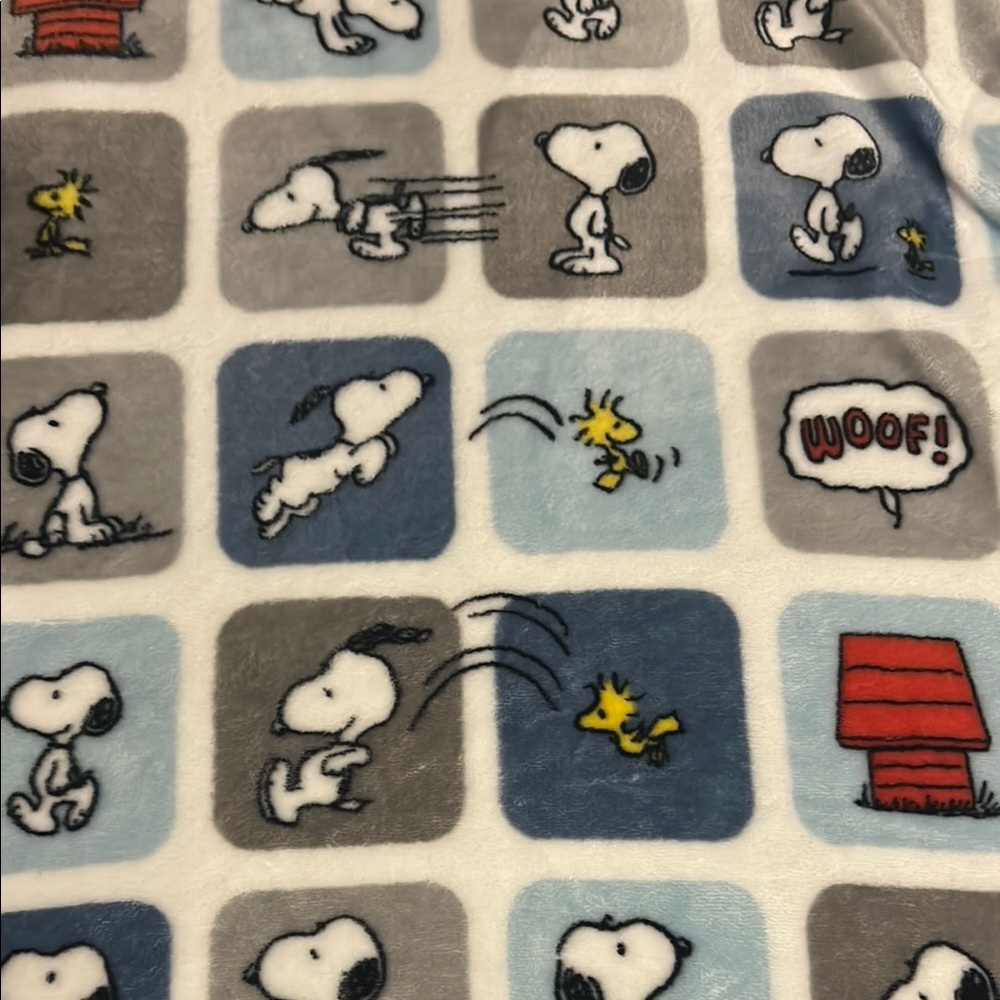 Snoopy and Woodstock Fleece Blanket